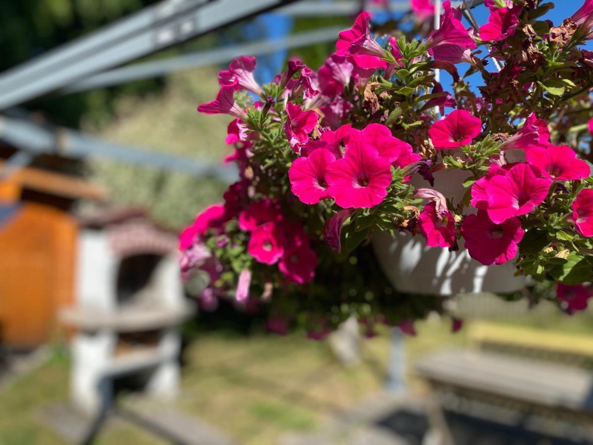 Ferienwohnung Am Franziskanergarten Bad Tölz Kültér fotó